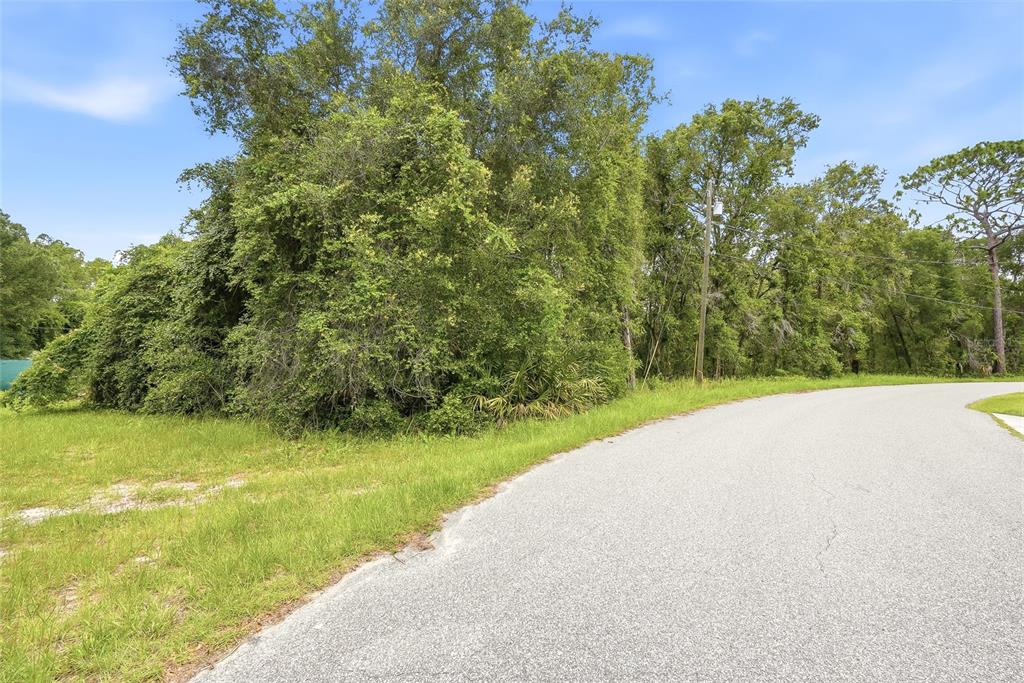 7002 North Castlebury Road Hernando, FL 34442 - Photo 6 of 29
