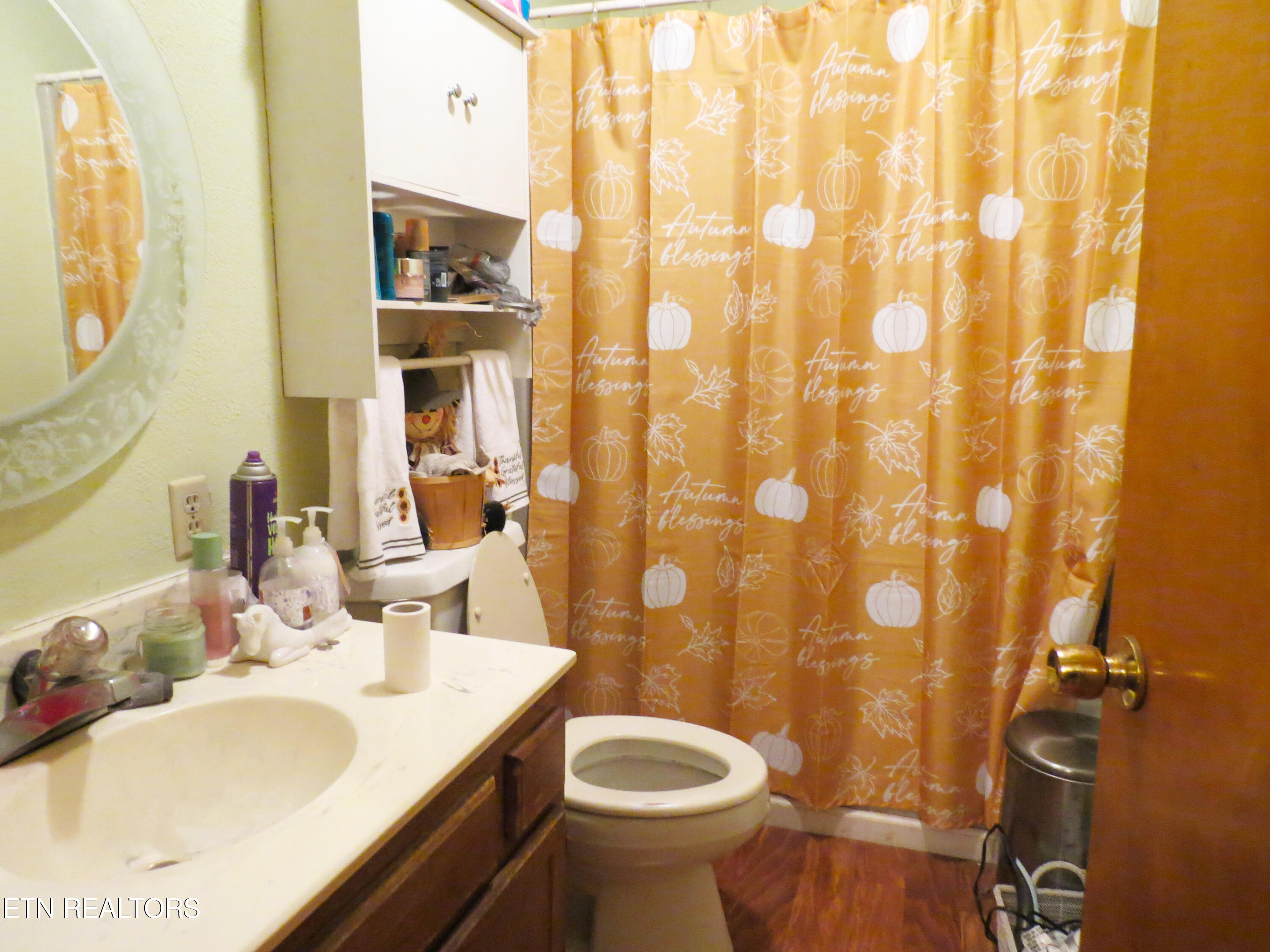 1806 Dumplin Loop Road New Market, TN 37820 - Photo 29 of 35 dl9