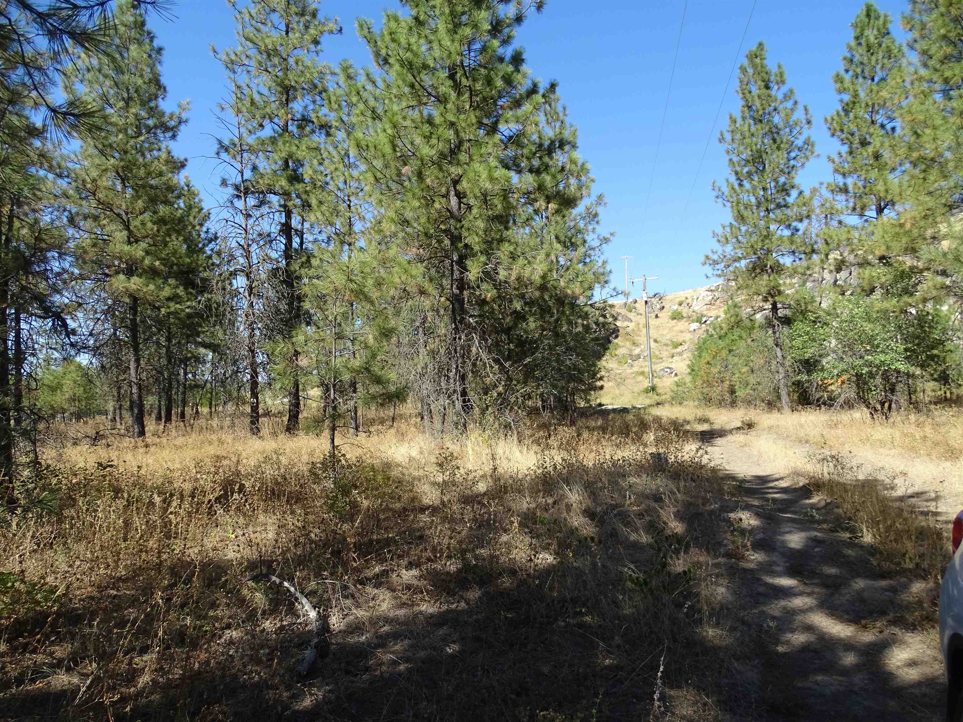 4905 Rail Canyon Road Springdale, WA 99173 - Photo 13 of 20