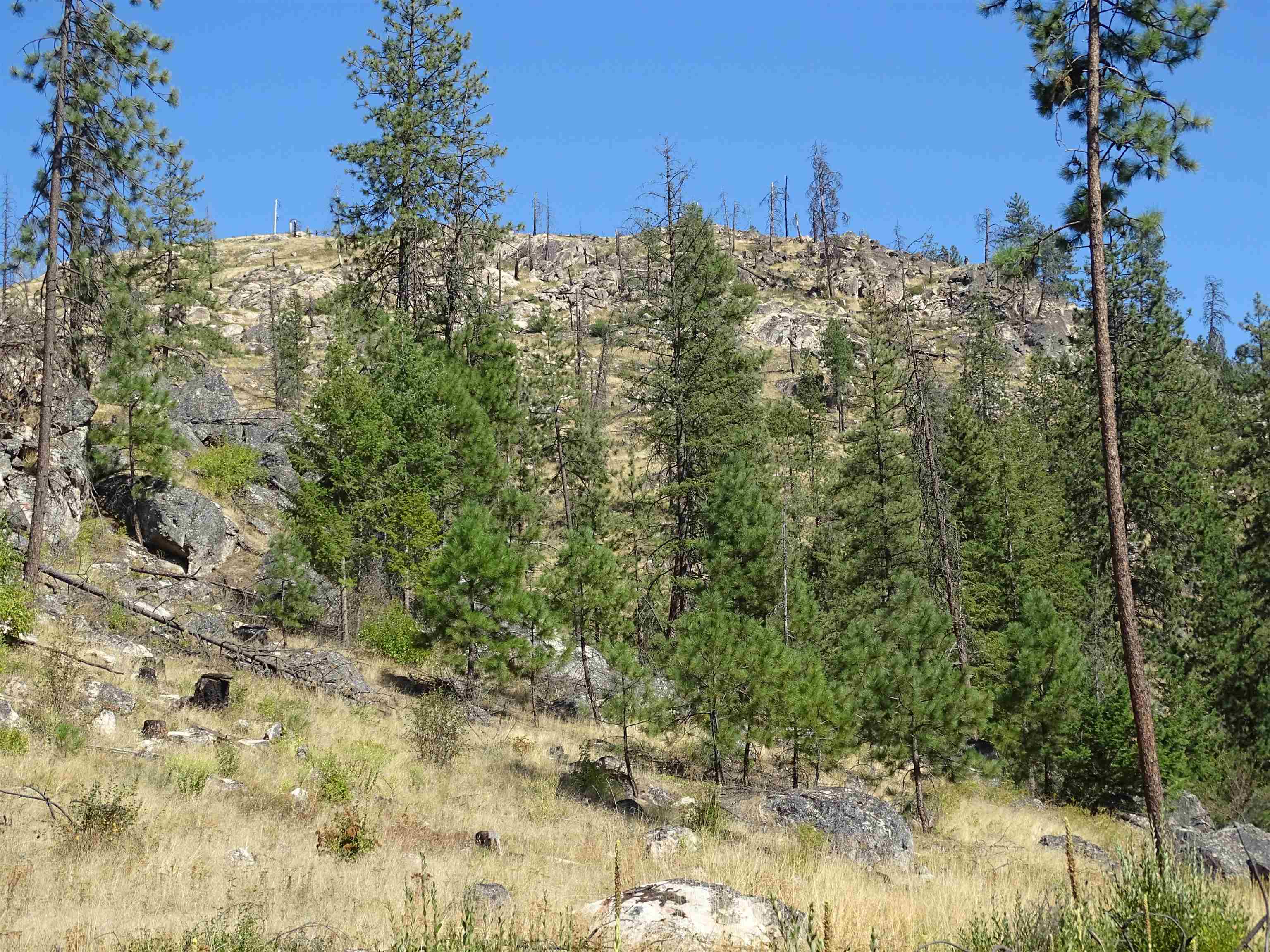 4905 Rail Canyon Road Springdale, WA 99173 - Photo 8 of 20