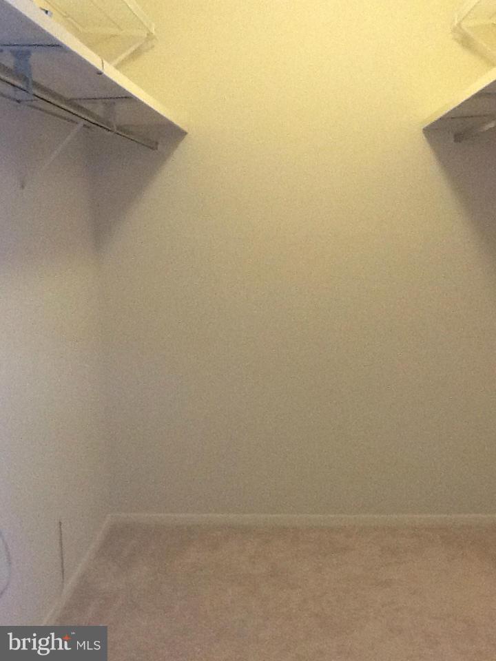 5225 Pooks Hill Road, Unit 304S Bethesda, MD 20814 - Photo 17 of 29 Huge Walk in Hall Closet