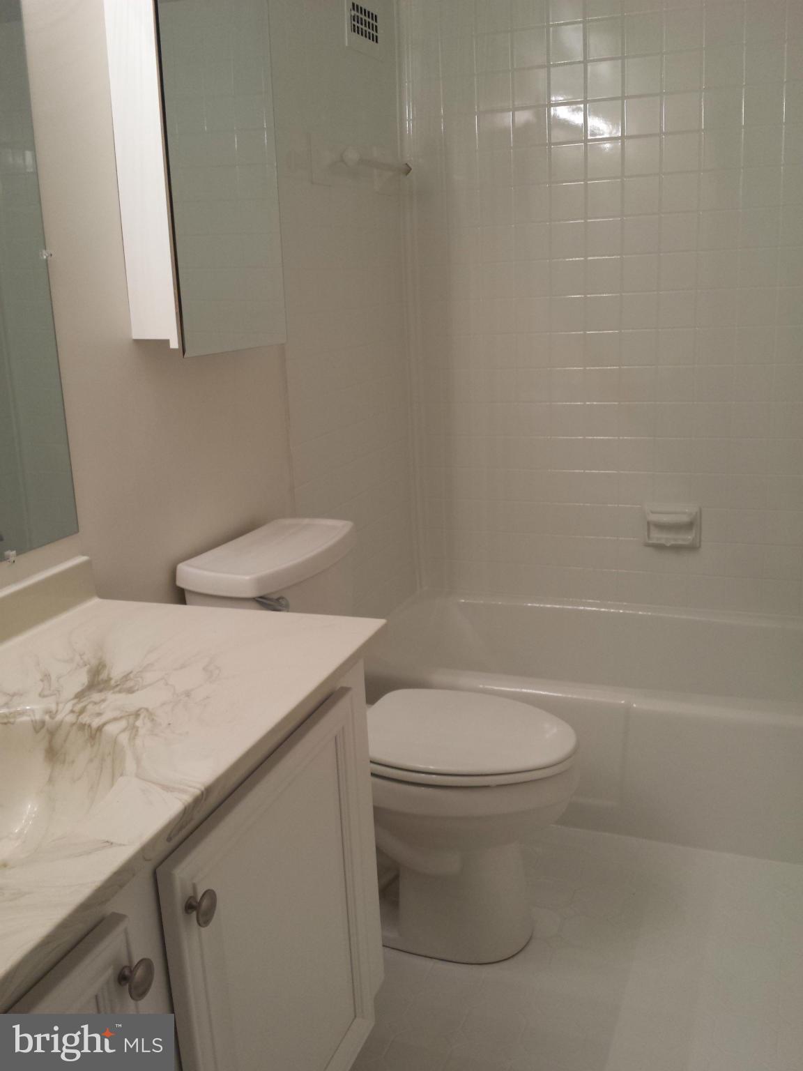 5225 Pooks Hill Road, Unit 304S Bethesda, MD 20814 - Photo 28 of 29 Bath (Master)