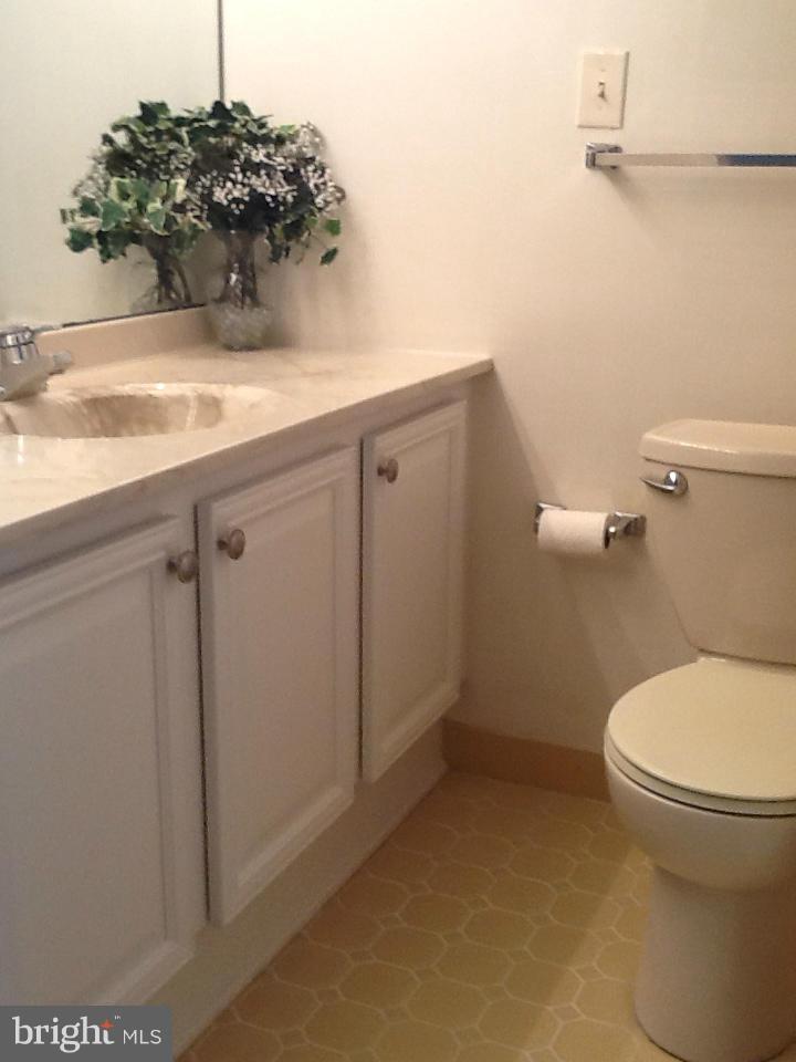 5225 Pooks Hill Road, Unit 304S Bethesda, MD 20814 - Photo 29 of 29 Full Bath
