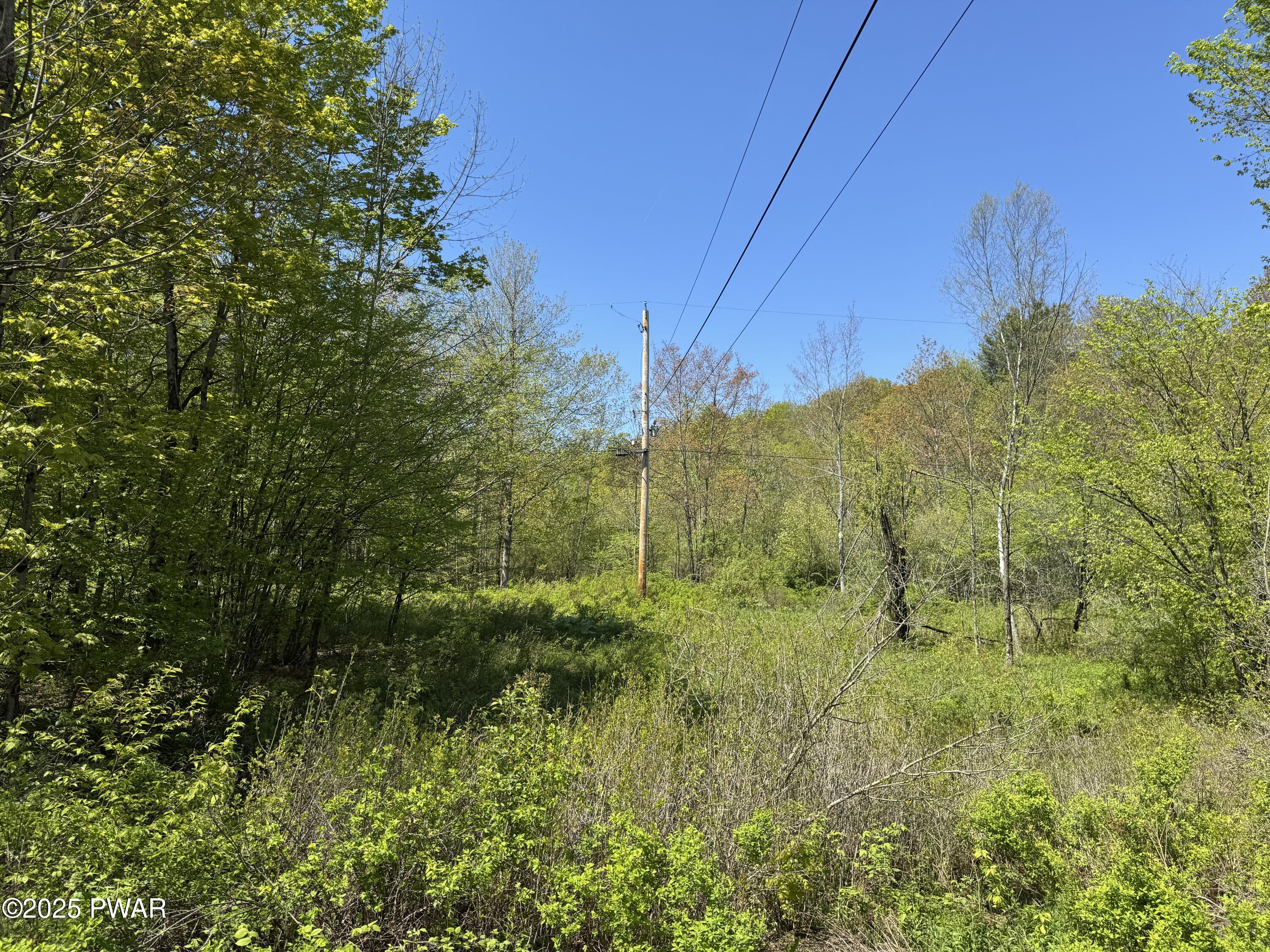 298 Maple Grove Road Starrucca, PA 18462 - Photo 11 of 20