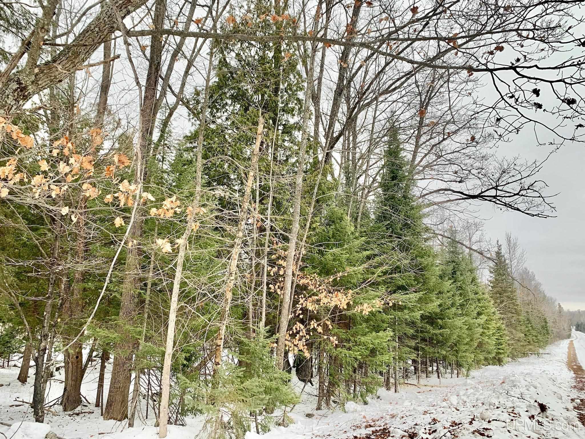 Tbd Stoneybrook Road Iron Mountain, MI 49801 - Photo 3 of 4