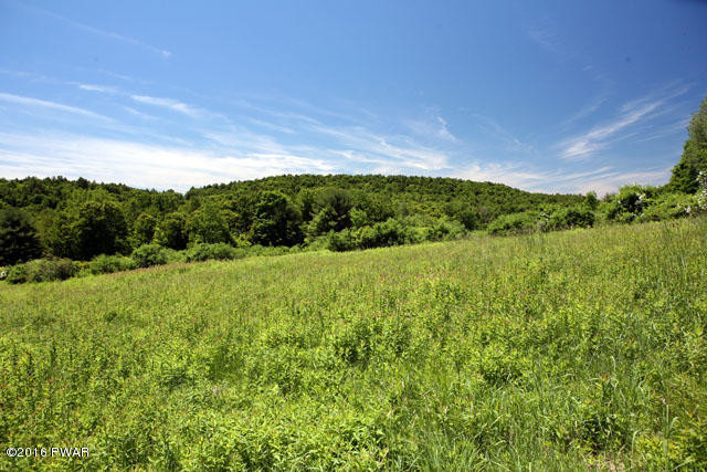 0 Jaketown Road Livingston Manor, NY 12758 - Photo 6 of 16