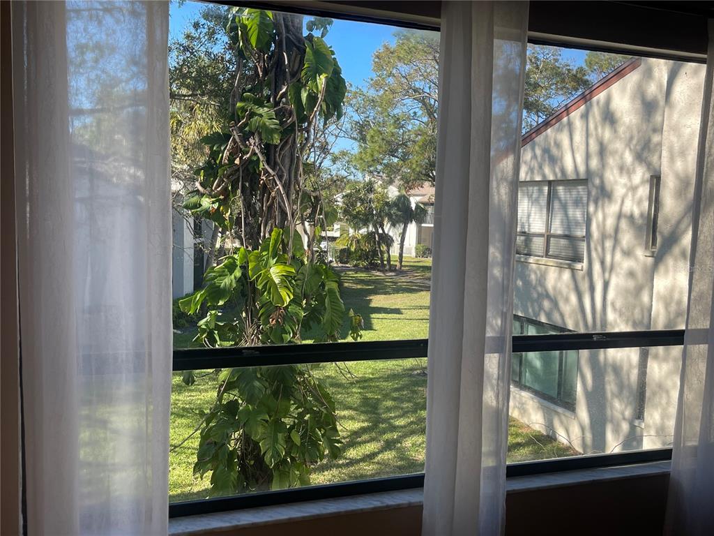 700 Starkey Road, Unit 1525 Largo, FL 33771 - Photo 11 of 46 a view of backyard from a window