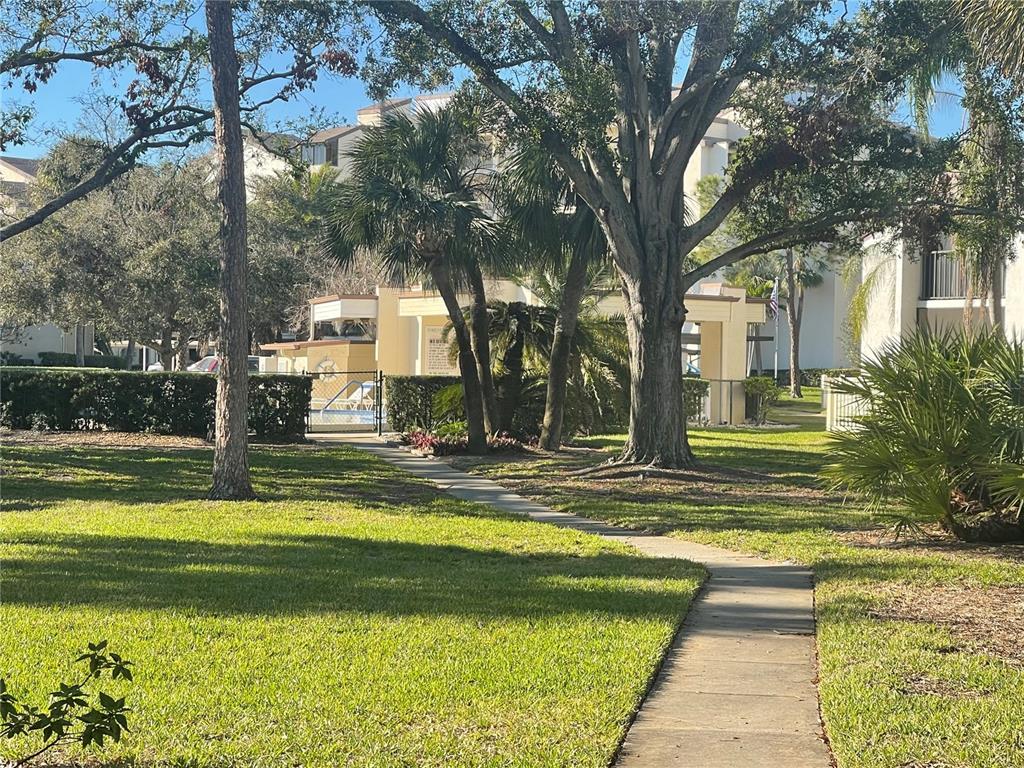 700 Starkey Road, Unit 1525 Largo, FL 33771 - Photo 39 of 46 a view of swimming pool with outdoor seating and yard