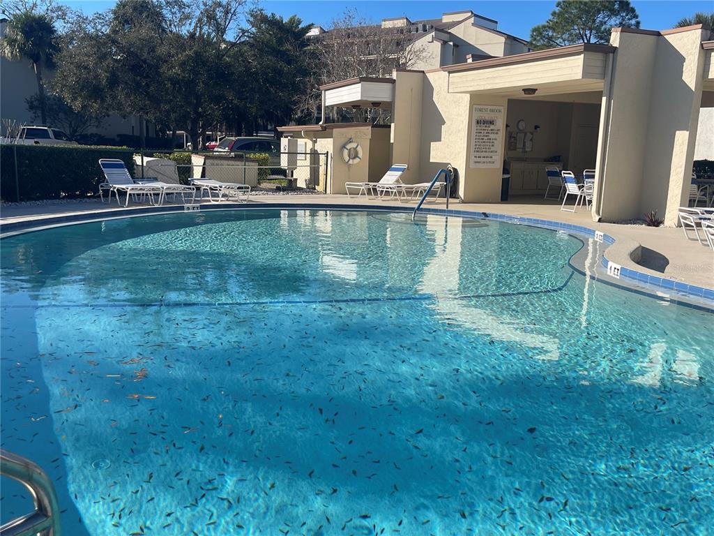 700 Starkey Road, Unit 1525 Largo, FL 33771 - Photo 41 of 46 a view of a house with a big yard