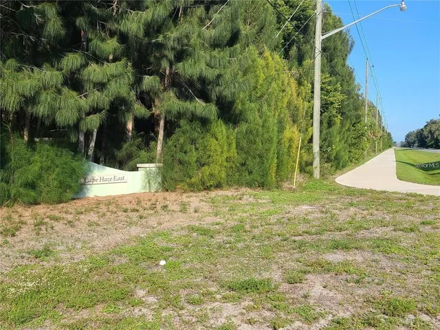 a close up of a plant