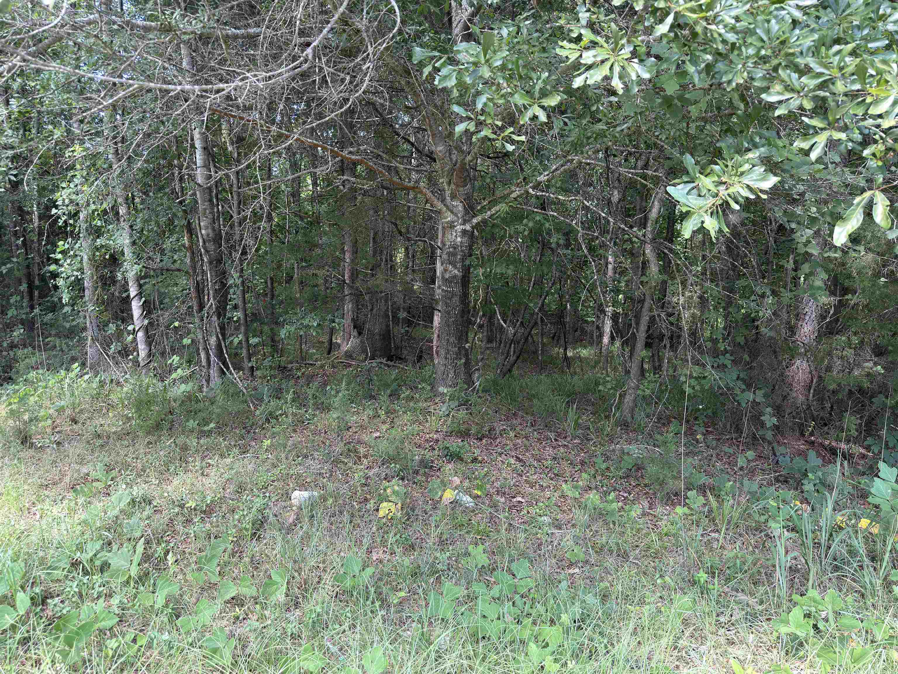 0 Corinth Road Gaffney, SC 29340 - Photo 5 of 6 Gallery Image 5