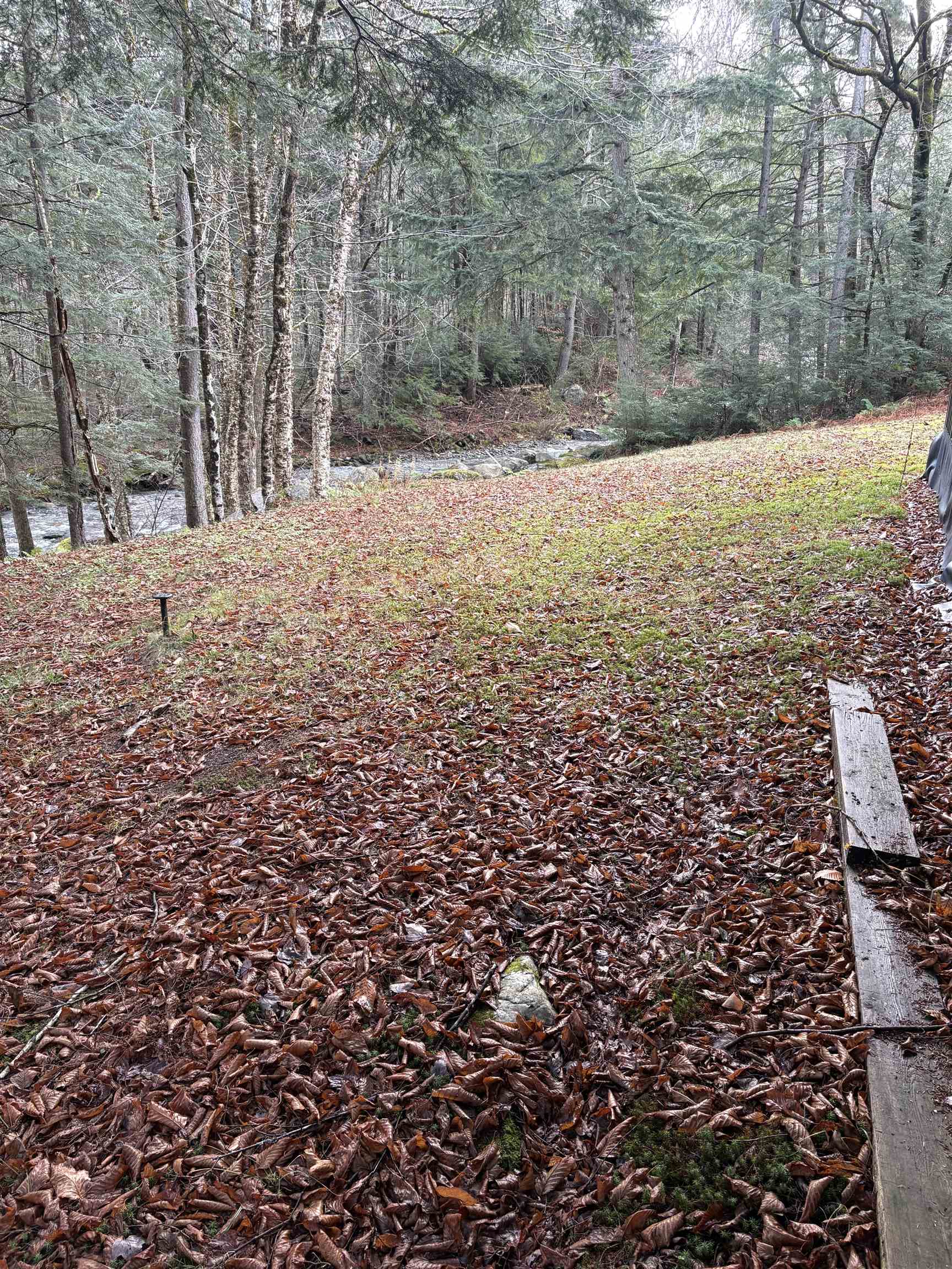 559 Corporation Road Rochester, VT 05767 - Photo 9 of 47