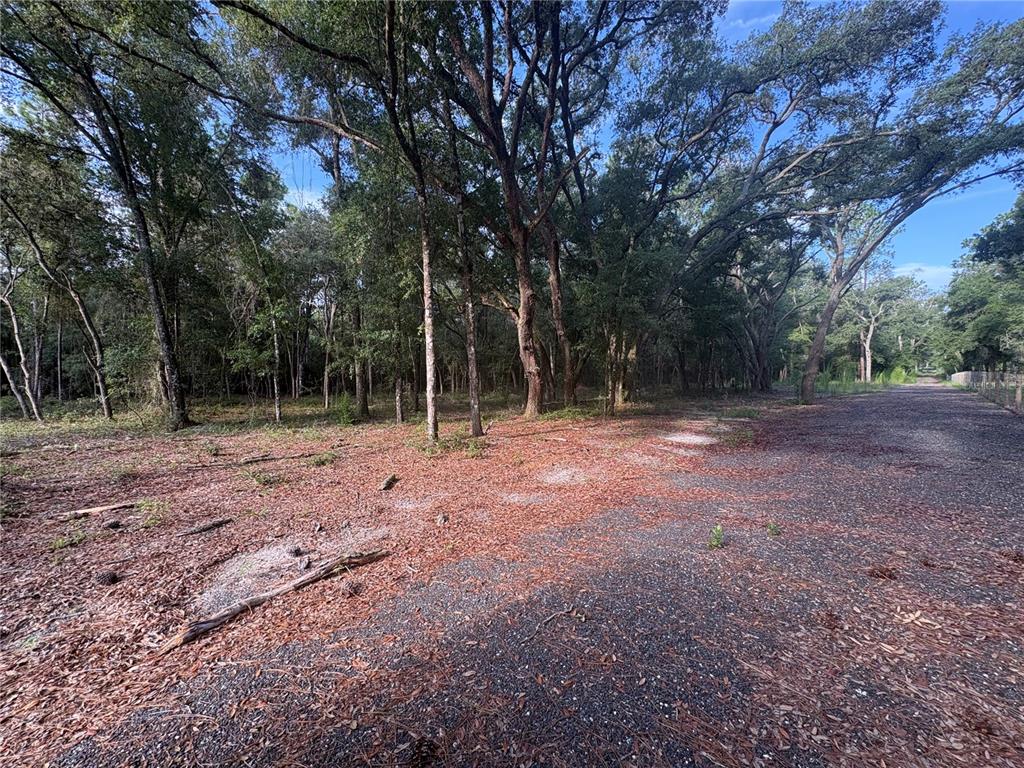 North Preston Road Brooksville, FL 34601 - Photo 9 of 20 Gallery Image 9