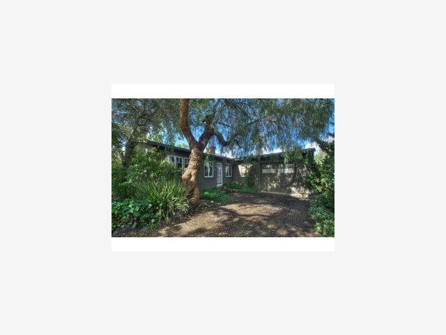 4 Perry Avenue Menlo Park, CA 94025 - Photo 1 of 9 a view of a yard with potted plants