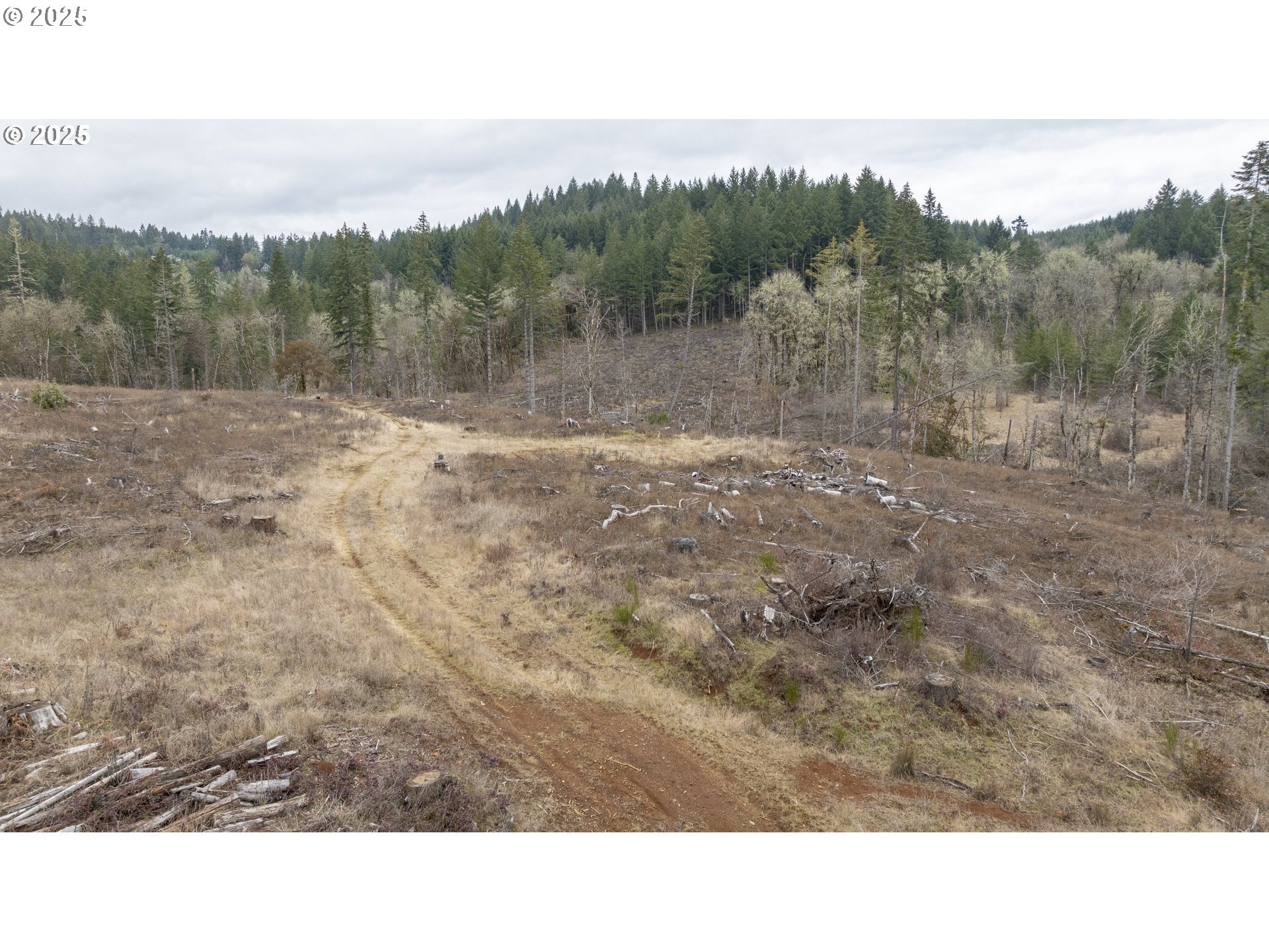 0 Northwest Panther Creek Road Yamhill, OR 97148 - Photo 8 of 28