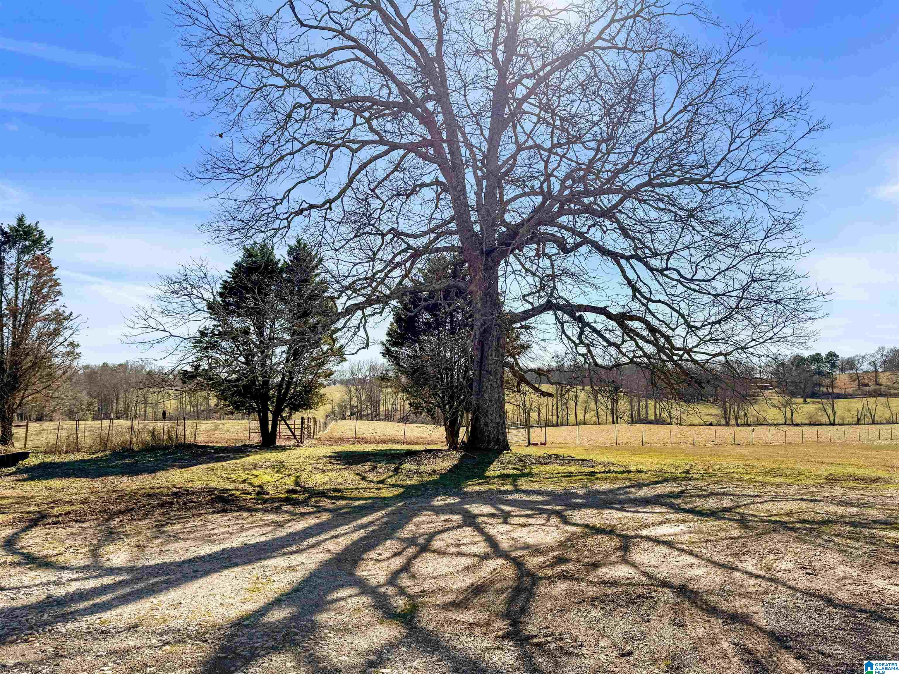 80 County Road 624 Ranburne, AL 36273 - Photo 45 of 49