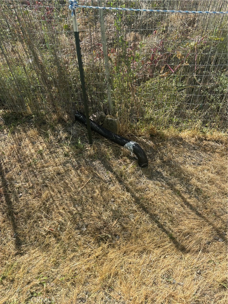 1996 Bald Rock Road Berry Creek, CA 95916 - Photo 19 of 21 a view of bulb and trees