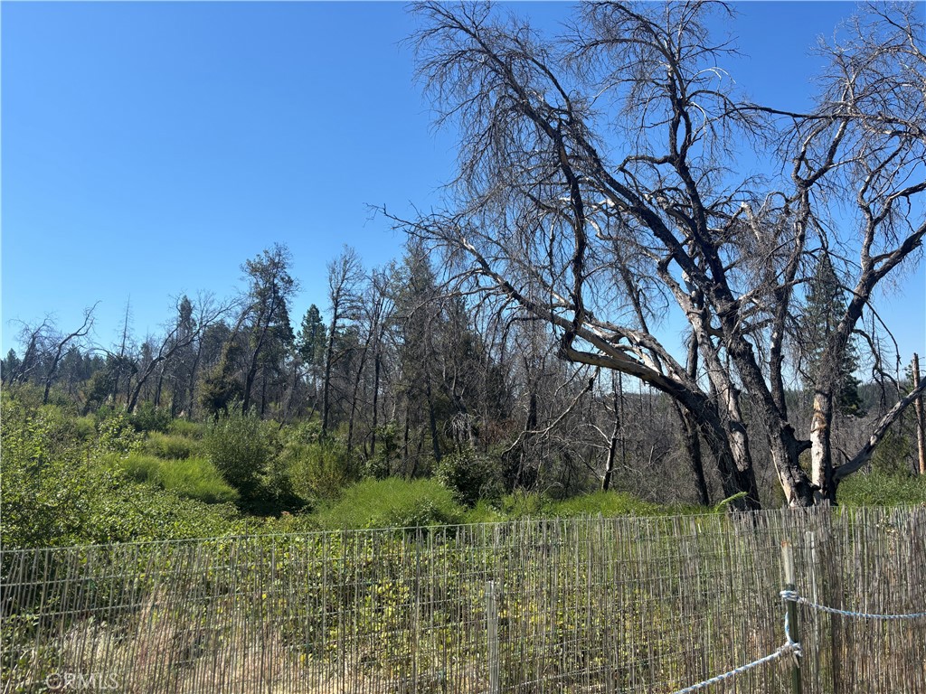 1996 Bald Rock Road Berry Creek, CA 95916 - Photo 20 of 21 a backyard of a house with lots of green space