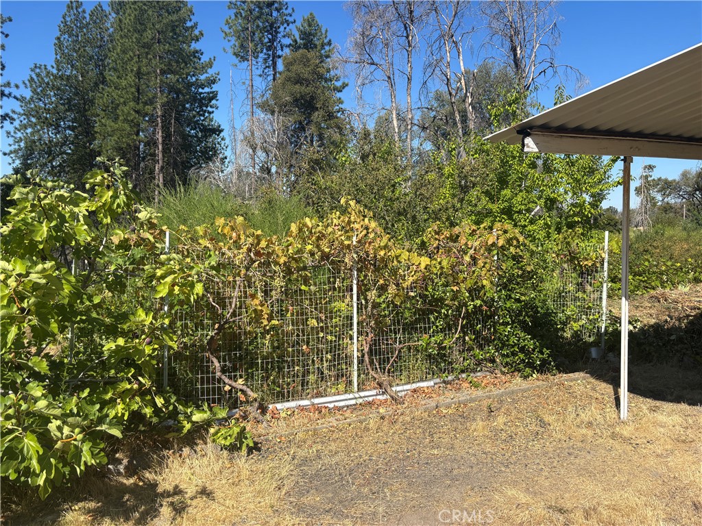 1996 Bald Rock Road Berry Creek, CA 95916 - Photo 3 of 21 a view of a backyard of the house