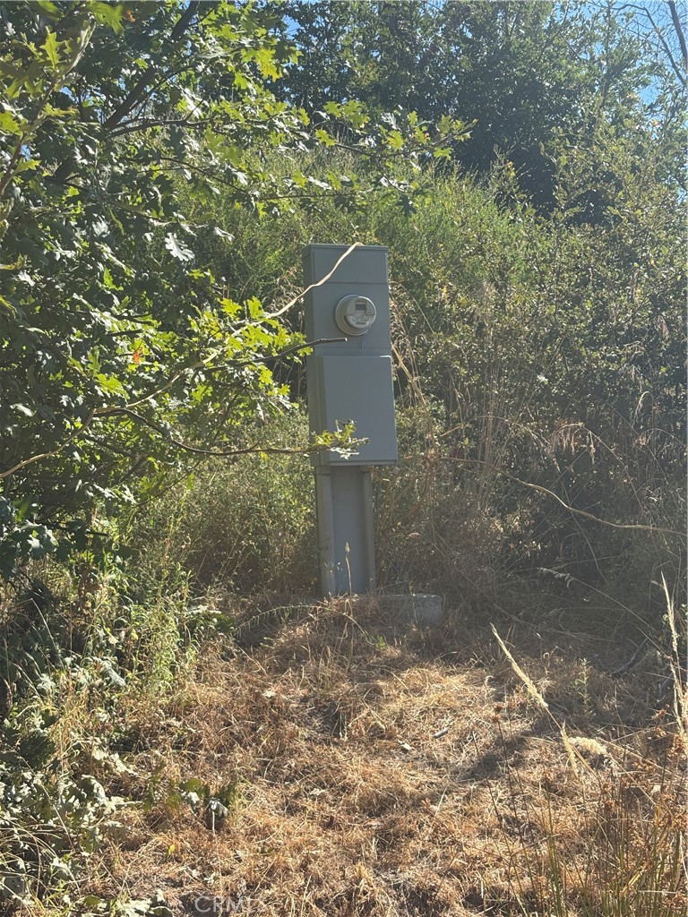 1996 Bald Rock Road Berry Creek, CA 95916 - Photo 6 of 21 a view of a wall with a tree