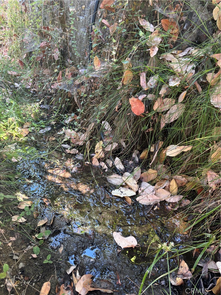 1996 Bald Rock Road Berry Creek, CA 95916 - Photo 7 of 21 a view of a tree