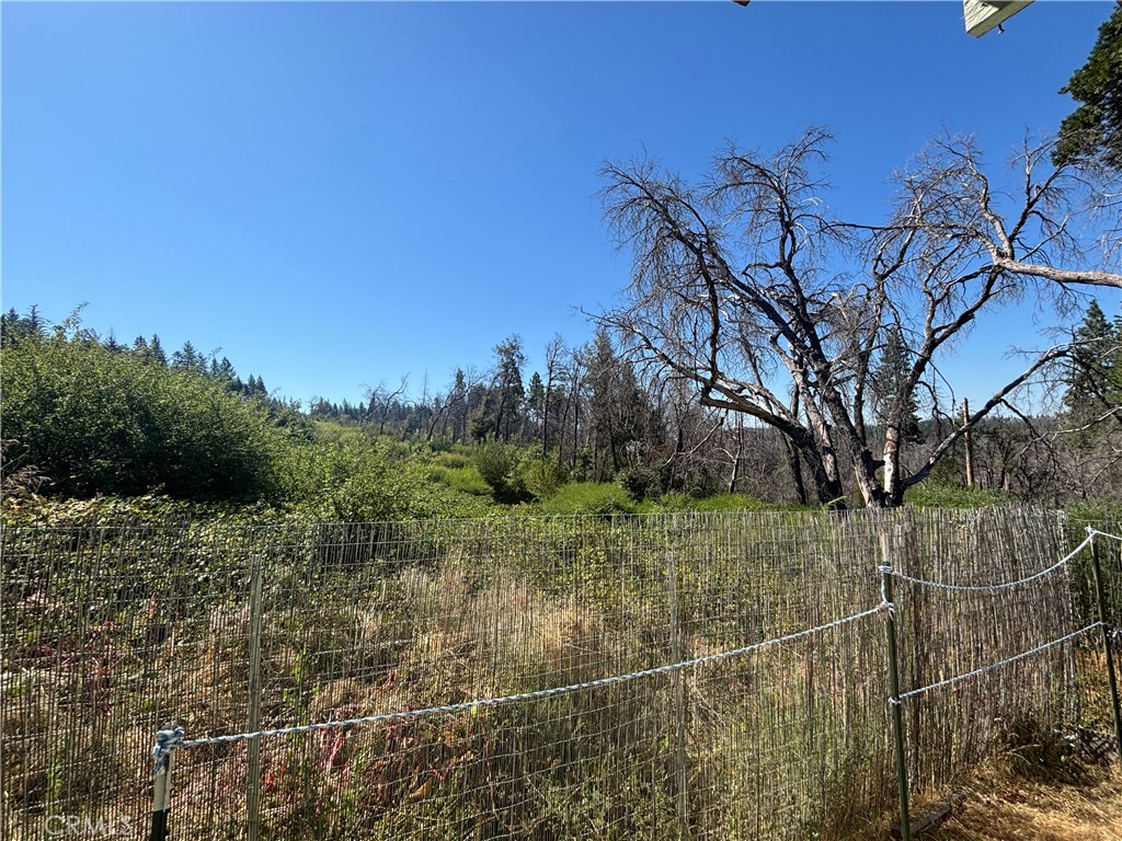 1996 Bald Rock Road Berry Creek, CA 95916 - Photo 9 of 21 a view of a backyard