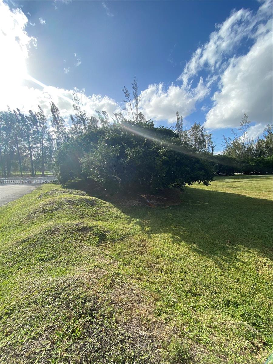 28 Sw Street Davie, FL 33330 - Photo 11 of 18