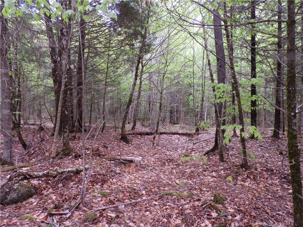3 Bottle Lake Road Springfield, ME 04487 - Photo 5 of 5 Photo