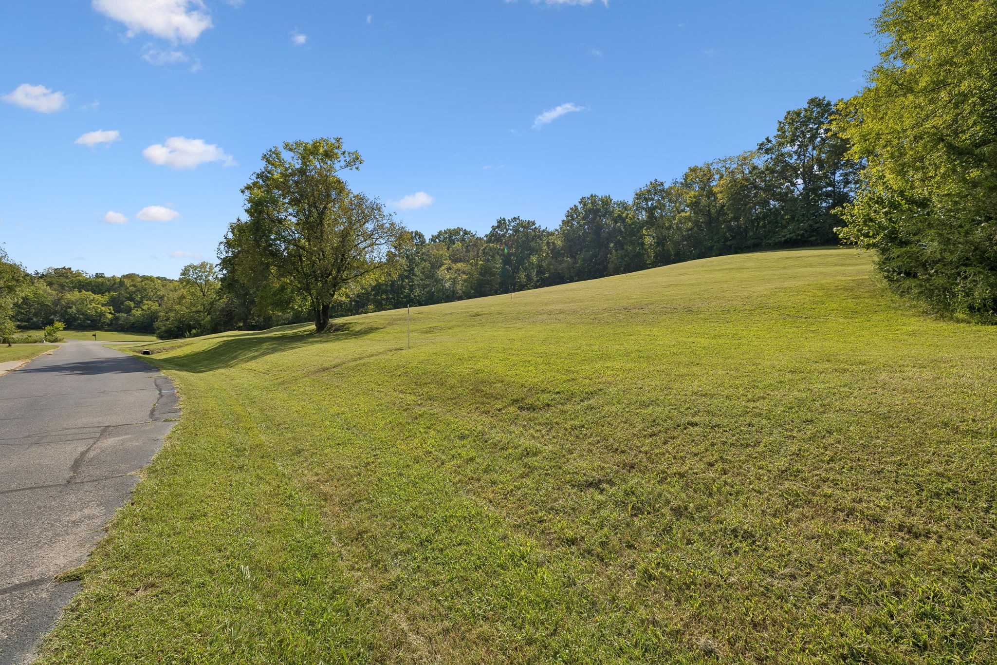 110 Hidden Valley Road Arrington, TN 37014 - Photo 3 of 24 Gallery Image 3