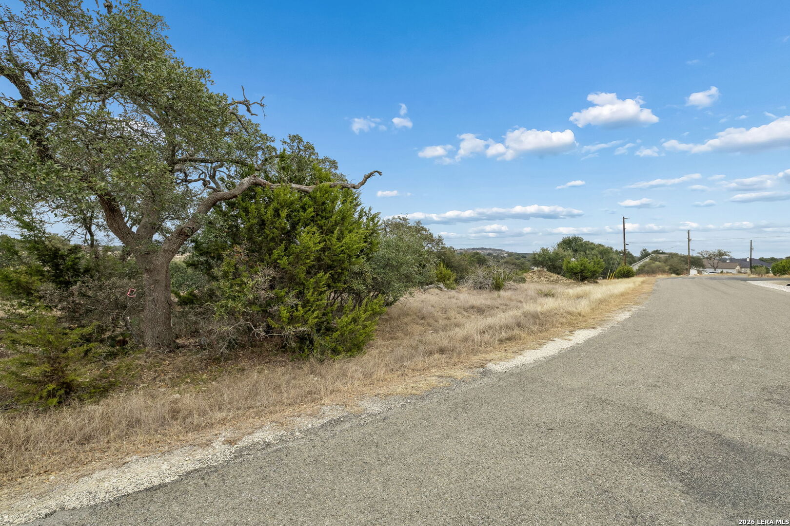 124 Hiram Cook Blanco, TX 78606 - Photo 17 of 28