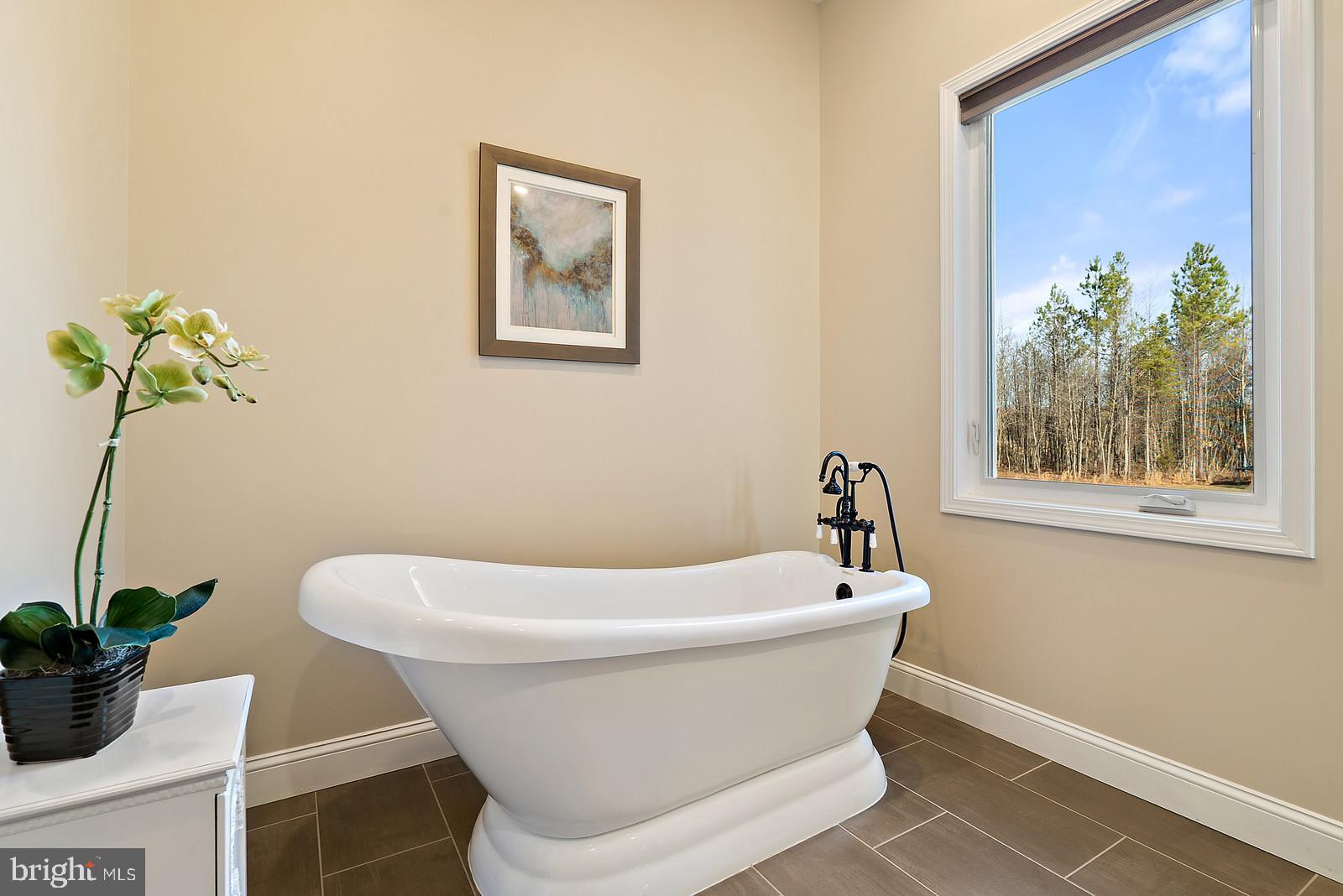 6055 Beach Road Midland, VA 22728 - Photo 29 of 50 bath tub