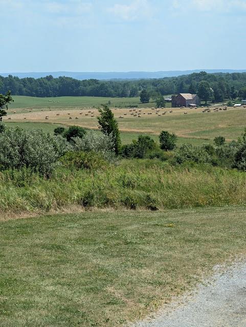 0 Black Road Volant, PA 16156 - Photo 11 of 14 Gallery Image 11
