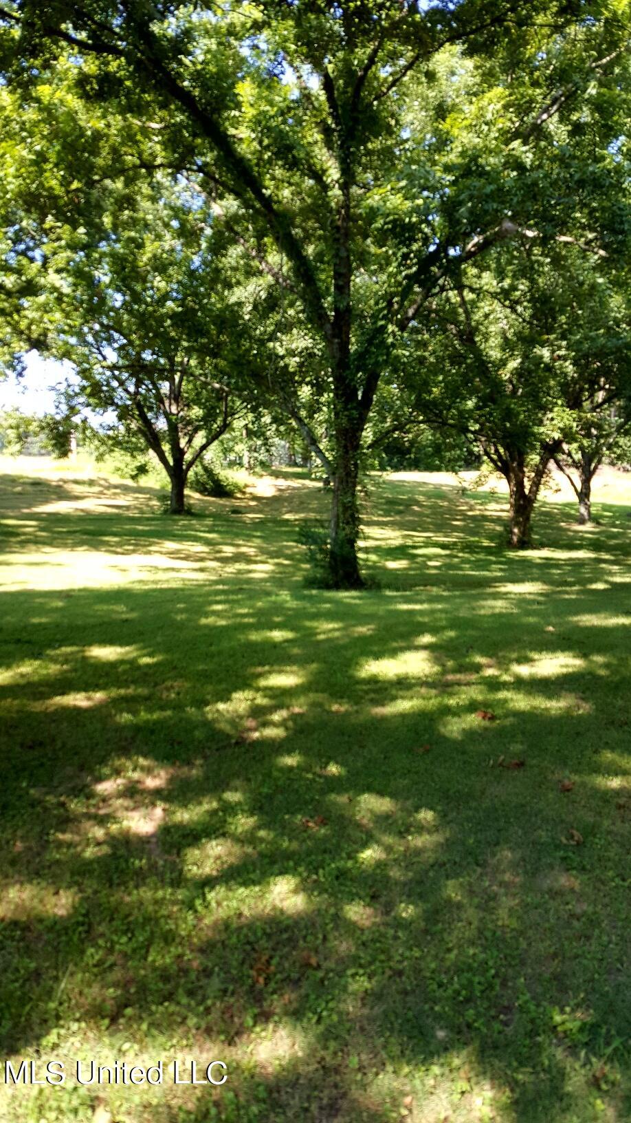 455 Getwell Road South Hernando, MS 38632 - Photo 2 of 17 part0 (2)