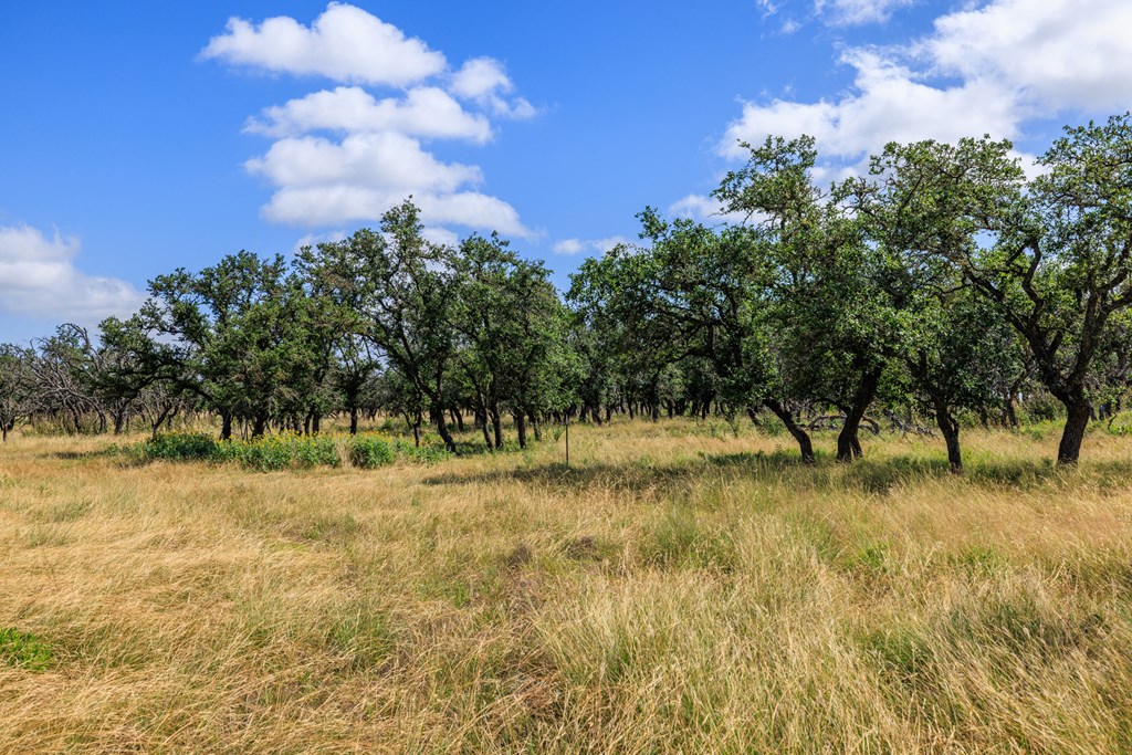 436 Stevens Ranch Road, Unit 8 Harper, TX 78631 - Photo 10 of 25