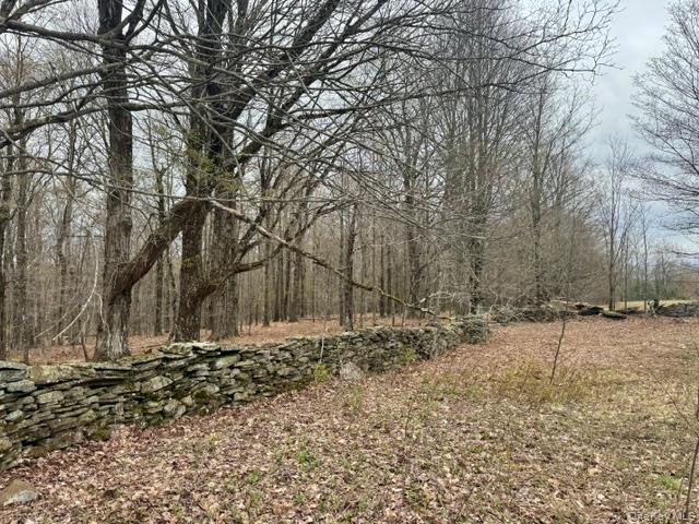 Lot 4 Shaver Hill Road Meridale, NY 13806 - Photo 35 of 45 Gallery Image 35