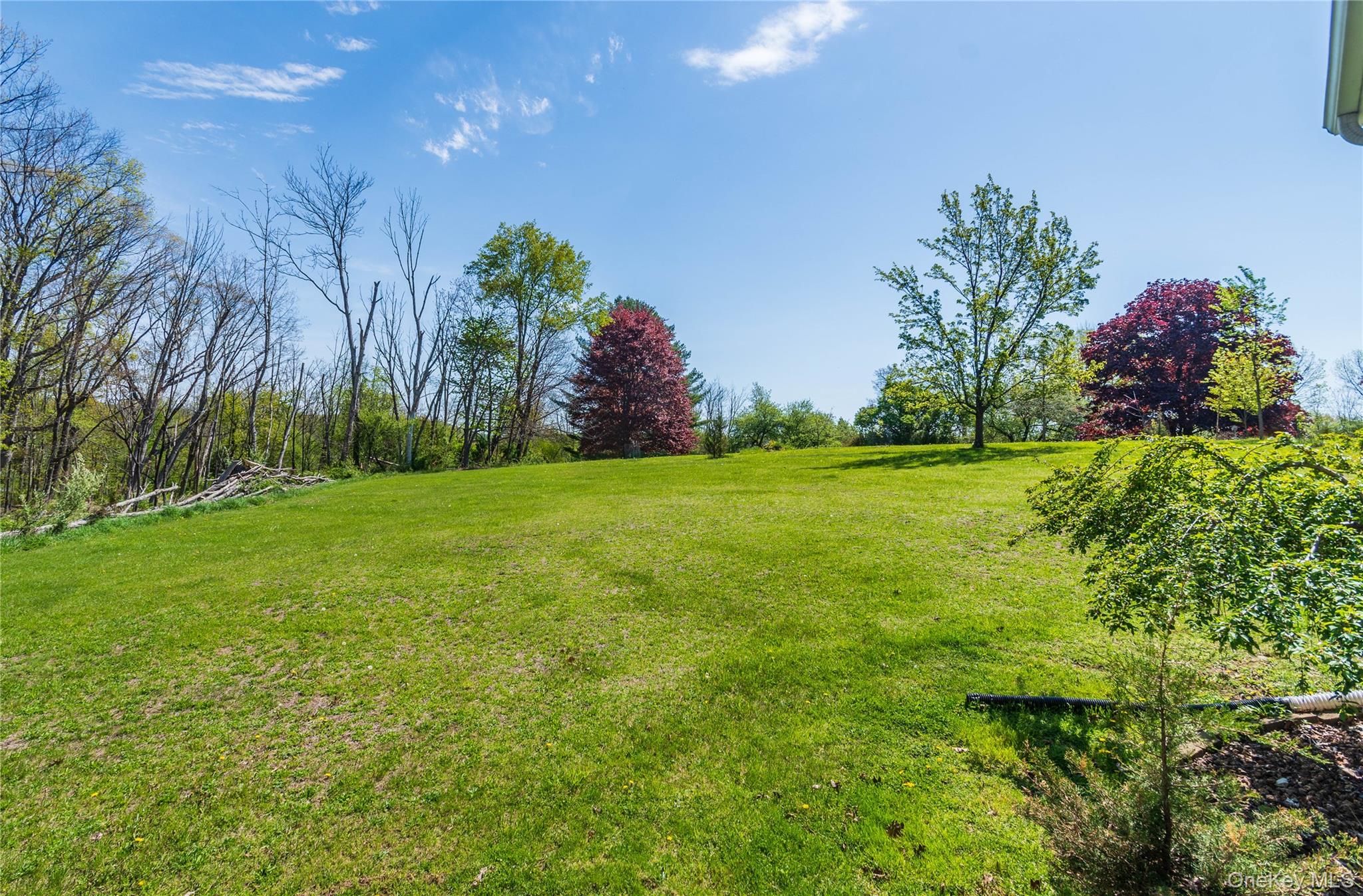 29 Murray Road Middletown, NY 10940 - Photo 23 of 24 a view of a garden with a tree