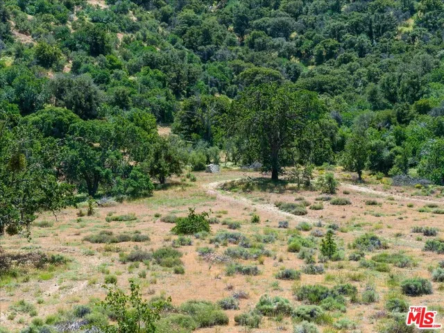 $5,750,000 | 31008 Pine Canyon Road, Lake Hughes, CA 93532