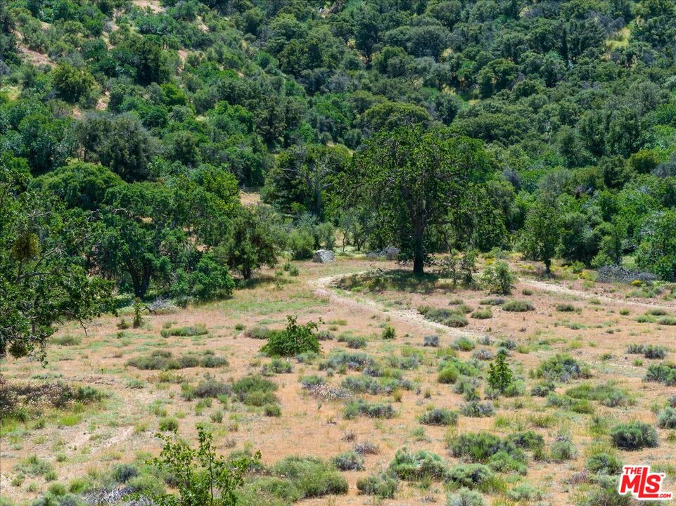 31008 Pine Canyon Road Lake Hughes, CA 93532 - Photo 22 of 27