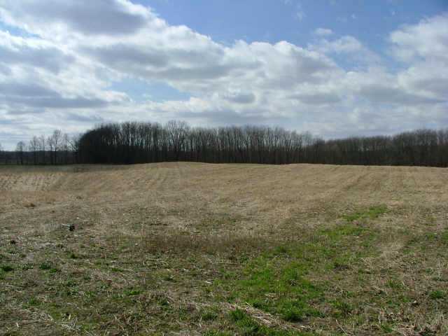 0 County Rd 242 Bellville, OH 44813 - Photo 1 of 1
