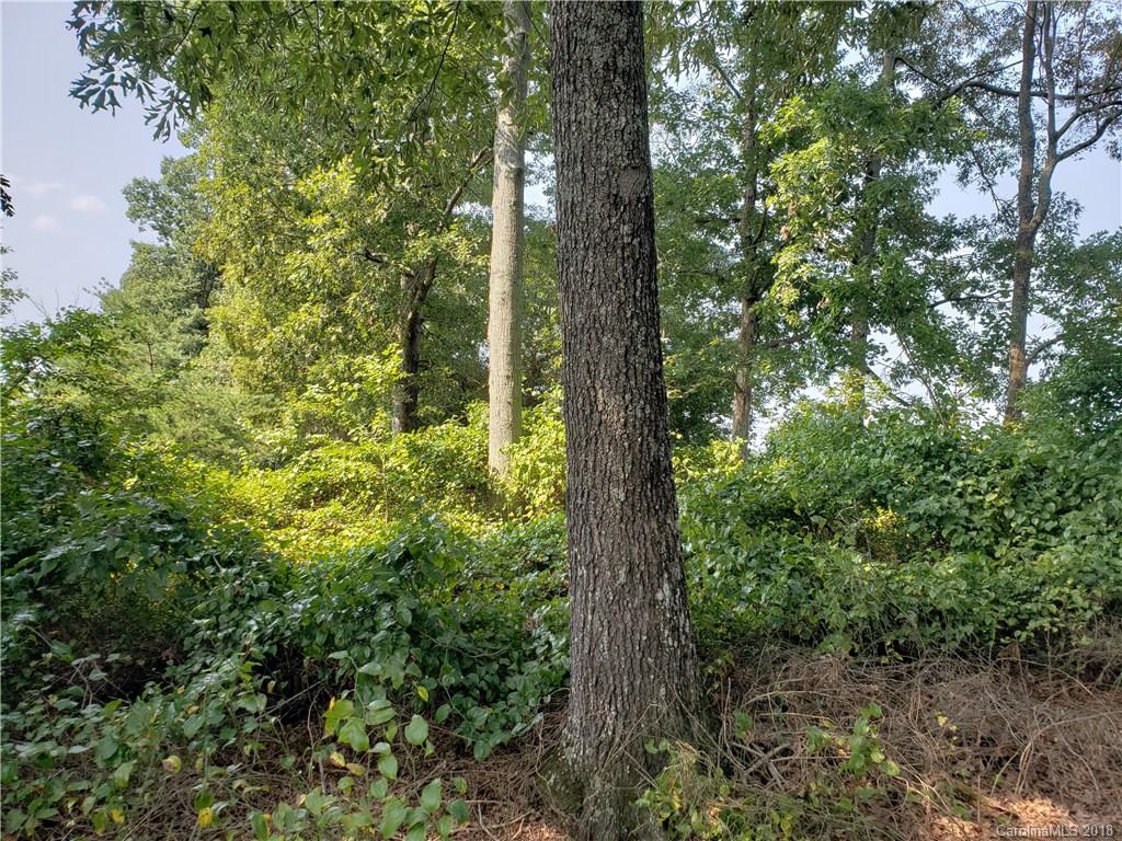 141 Macedonia Church Road Campobello, SC 29322 - Photo 3 of 7 Gallery Image 3