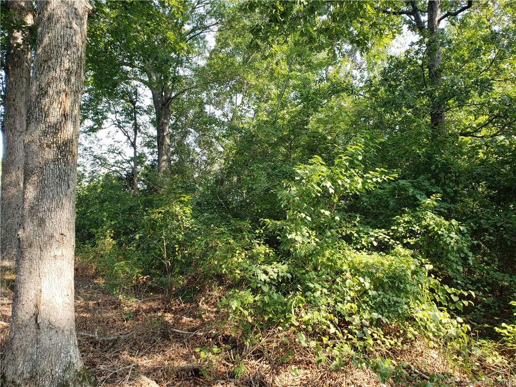 141 Macedonia Church Road Campobello, SC 29322 - Photo 4 of 7 Gallery Image 4