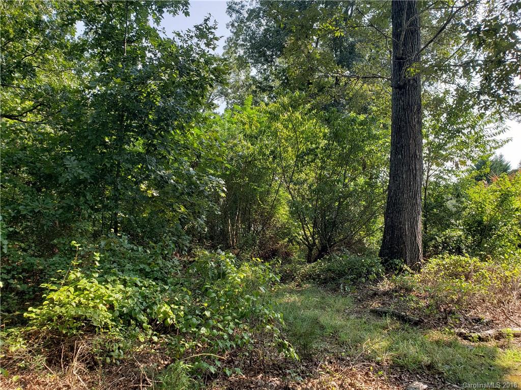 141 Macedonia Church Road Campobello, SC 29322 - Photo 5 of 7 Gallery Image 5