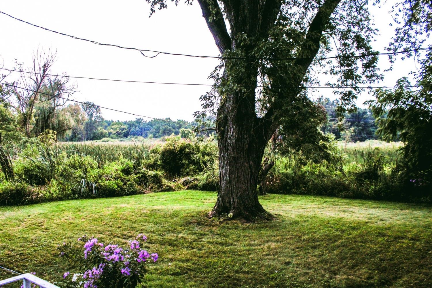 4219 Rutledge Street Gary, IN 46408 - Photo 25 of 27 a view of a garden with a tree