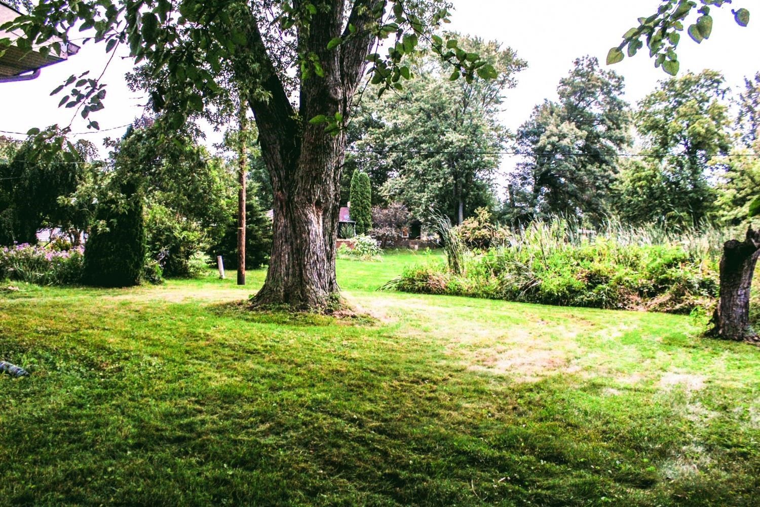 4219 Rutledge Street Gary, IN 46408 - Photo 26 of 27 a view of outdoor space with trees all around