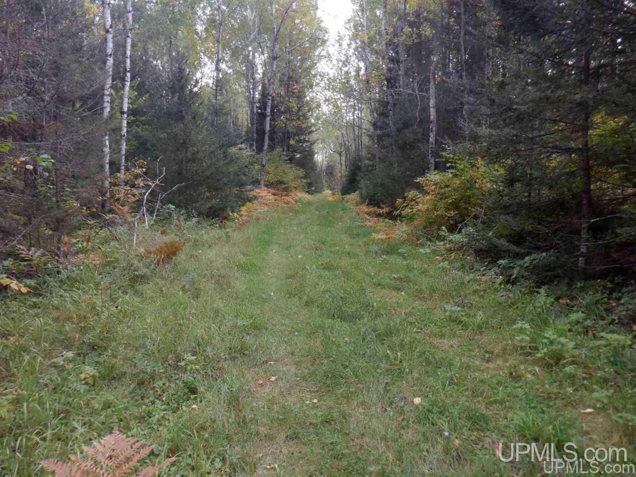 Tbd Bone Lake Road Amasa, MI 49903 - Photo 29 of 29