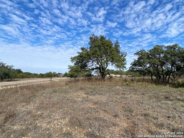 0 John Price Blanco, TX 78133 - Photo 11 of 11 a view of lake with green space
