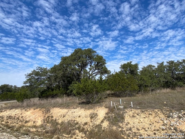 0 John Price Blanco, TX 78133 - Photo 2 of 11 a view of back yard of a house