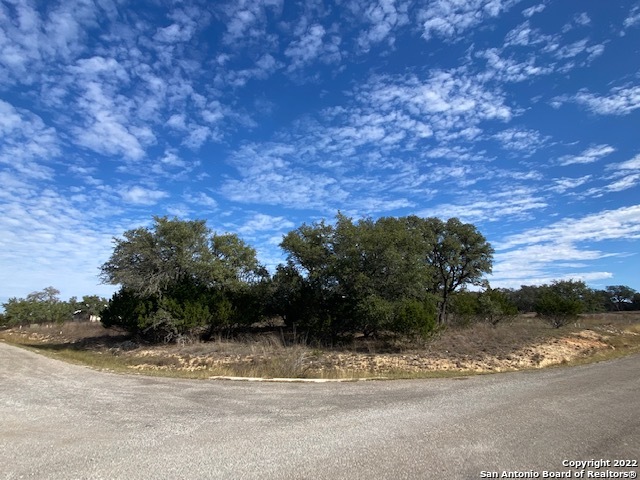 0 John Price Blanco, TX 78133 - Photo 3 of 11 a view of a yard and mountain view