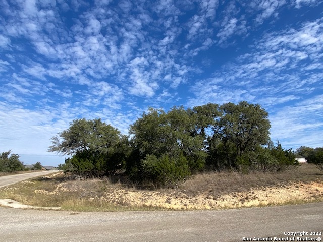 0 John Price Blanco, TX 78133 - Photo 4 of 11 a view of a yard with a tree