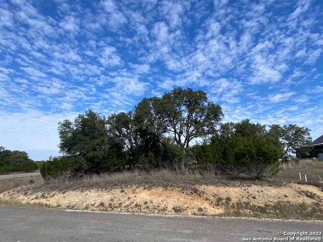 0 John Price Blanco, TX 78133 - Photo 5 of 11 a view of a yard